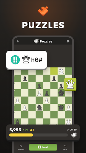 Chess - Play and Learn Online